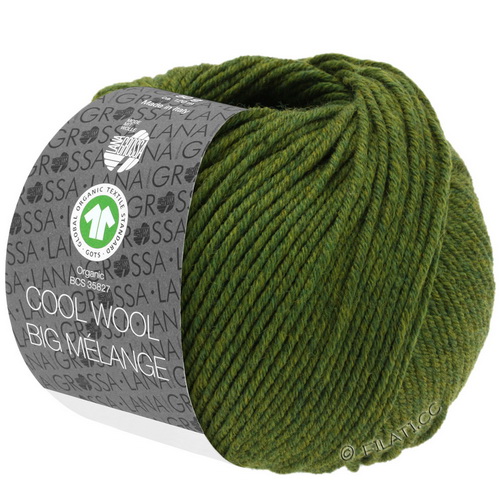 Lana Grossa Cool Wool Big Melange (213) 100% меринос экстрафайн 50 г/120 м