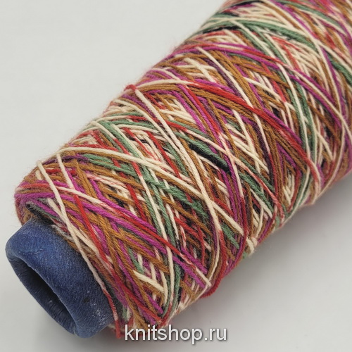 Sock Color (630 древесный папоротник) 75% меринос, 25% па 315м/100гр 6-ти нитка