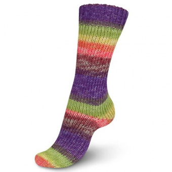 Regia Autumn Color 8-Ply (9185) 75% меринос, 25% полиамид 150г/300 м