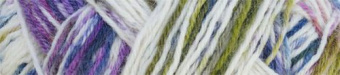 Schoppel Wunderklecks (1342-2140) 75% шерсть, 25% па 100г/420м