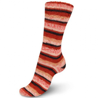 Regia Holy Season Color (7716) 75% меринос, 25% полиамид 100г/420м