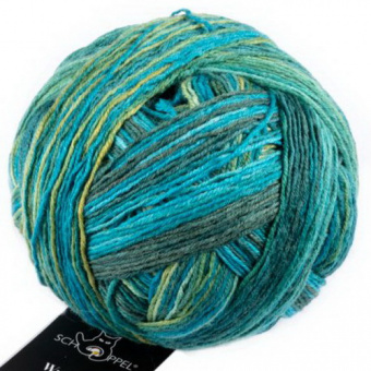 Schoppel Wunderklecks (1342-2396) 75% шерсть, 25% па 100г/420м