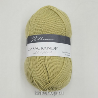 Casagrande Millennium (31.010 фисташка) 75% меринос экстрафайн, 25% па 50г/210м