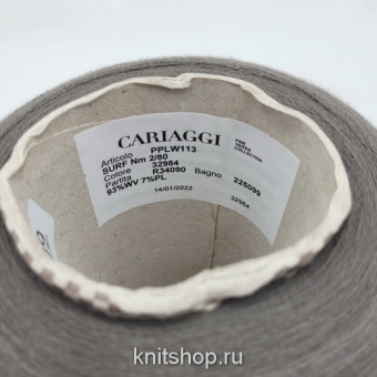 Cariaggi Surf (32984 тауп) 93% меринос, 7% эластан 2/80 4000м/100гр