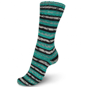 Regia Holy Season Color (7713) 75% меринос, 25% полиамид 100г/420м