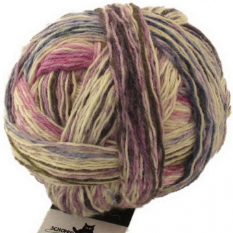 Schoppel Wunderklecks (1342-2140) 75% шерсть, 25% па 100г/420м