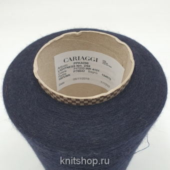 Cariaggi Lightness (717233 чернильный) 100% бэби верблюд 2/68 3400м/100гр
