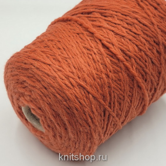 Filpucci Salentino (24-043 шиповник) 67% меринос, 33% па 200м/100гр