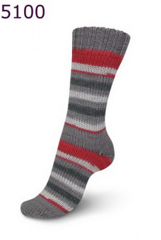 Regia Talking Lines Color 6-Ply (5100) 75% меринос, 25% полиамид 150г/375м