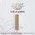 Коннекторы для спиц Needle Tip Connectors, латунь brass, Lotus Yarns Коннекторы для спиц Needle Tip Connectors, латунь brass, Lotus Yarns
