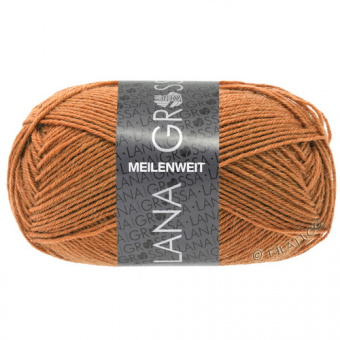 Lana Grossa Meilenweit 50 (1406) 80% меринос, 20% полиамид 50 г/210 м