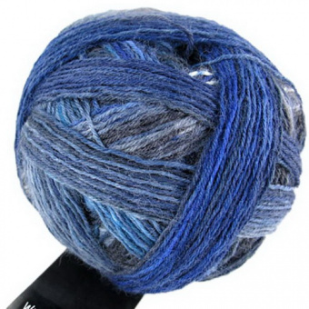 Schoppel Wunderklecks (1342-2147) 75% шерсть, 25% па 100г/420м