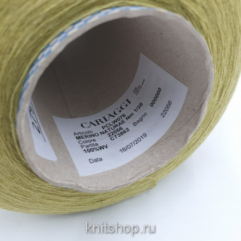 Cariaggi Merino Naturae (22056 лайм) 100% меринос кардный 1/28 2800м/100гр