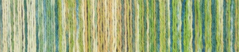 Schoppel Wunderklecks (1342-2177) 75% шерсть, 25% па 100г/420м