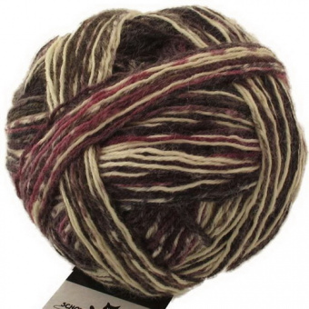 Schoppel Wunderklecks (1342-2132) 75% шерсть, 25% па 100г/420м