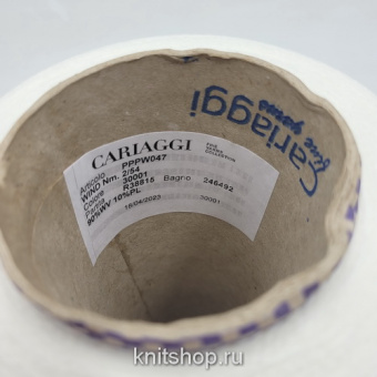 Cariaggi Wind (30001 белый отбеленка) 90% меринос, 10% эластан 2/54 2700м/100гр